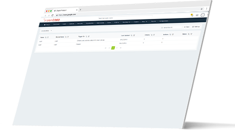 LionO360 CRM